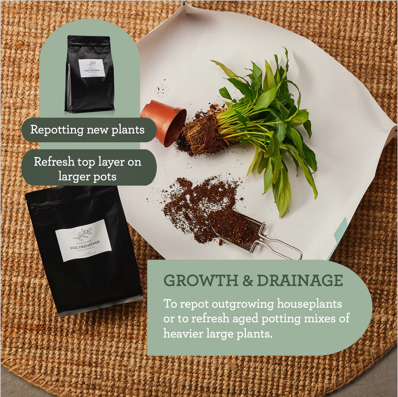 HOUSEPLANT SOIL FRESHENER | Sustrato enriquecido