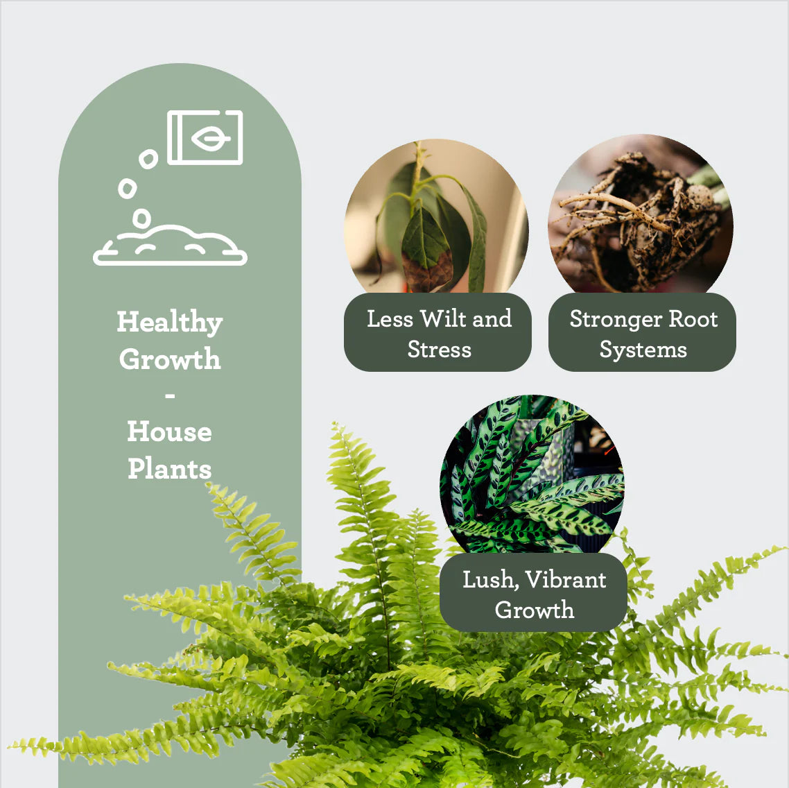 HOUSEPLANT SOIL FRESHENER | Sustrato enriquecido