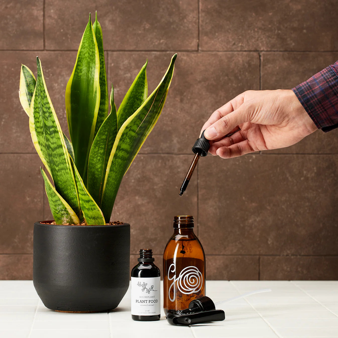 HOUSEPLANT PLANT FOOD | Extracto de algas marinas