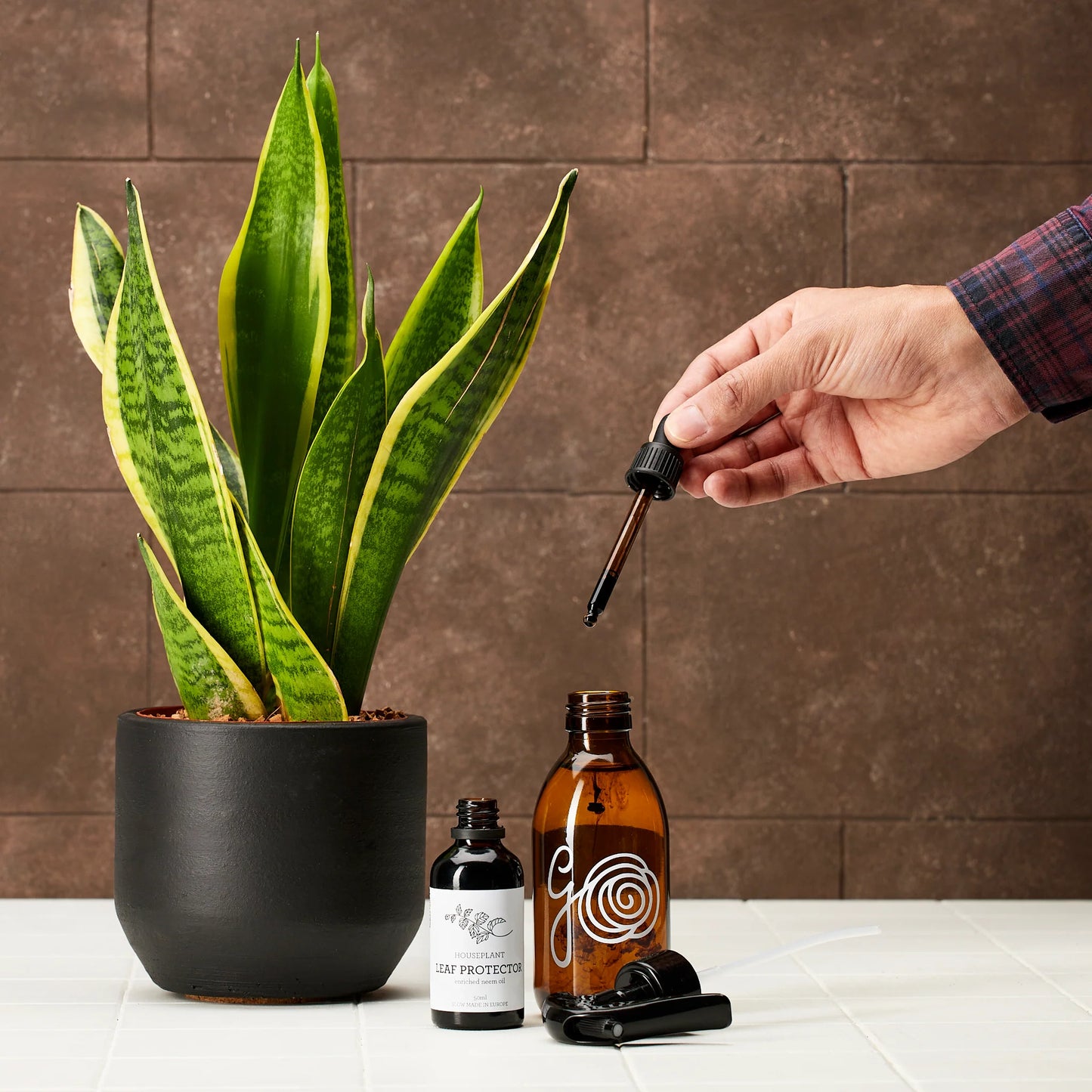 HOUSEPLANT LEAF PROTECTOR | Aceite de neem enriquecido