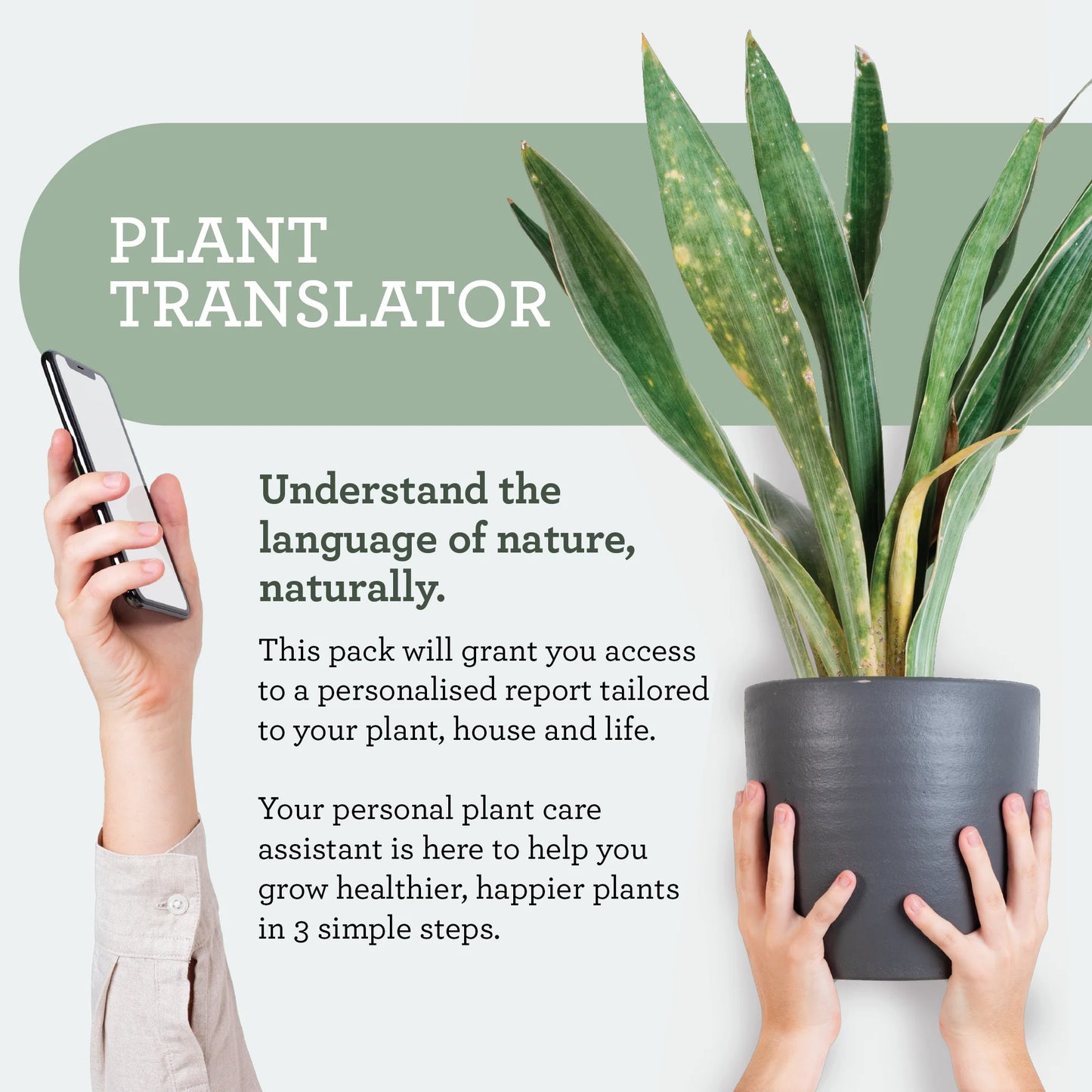 PLANT SPA | Protección y Limpieza de Plantas
