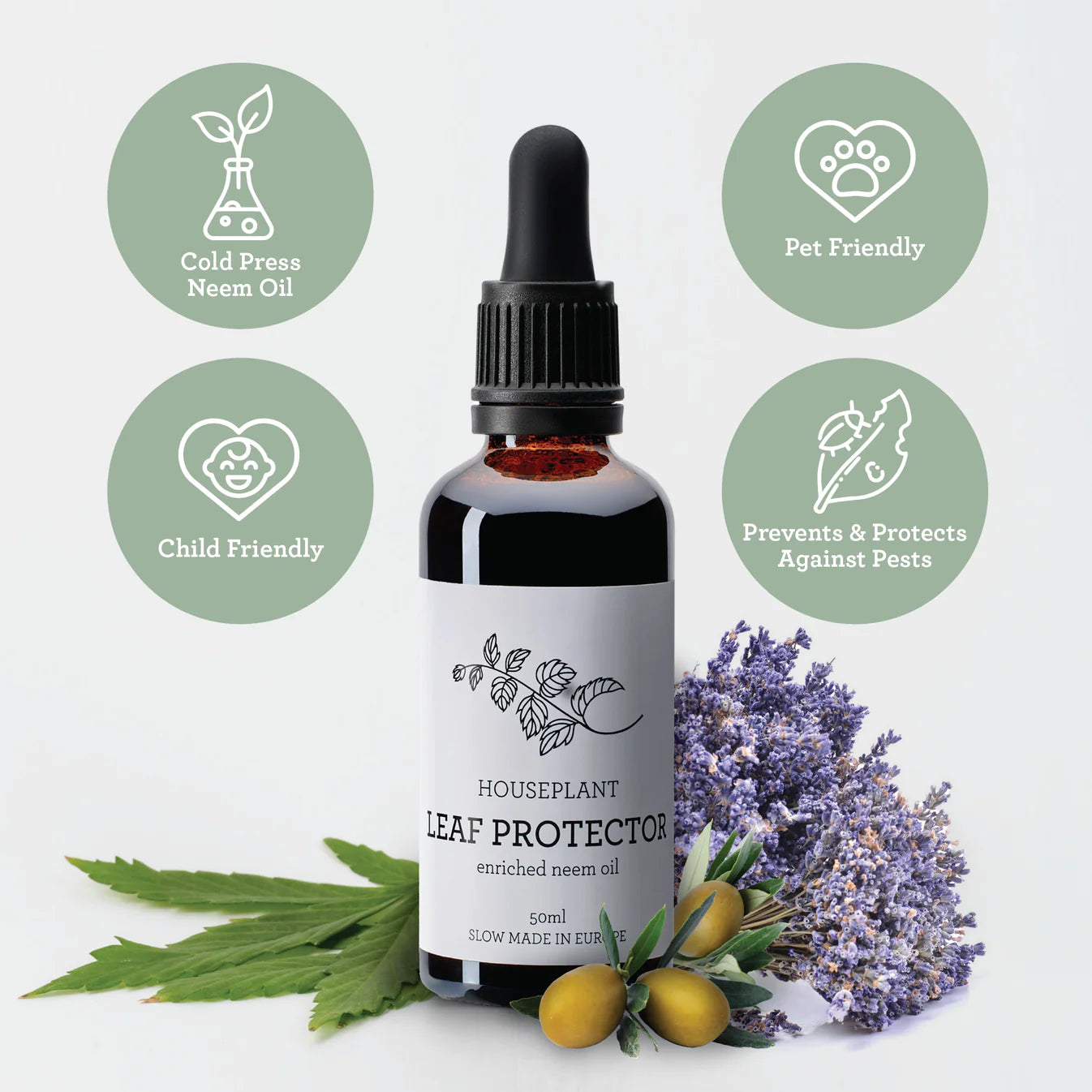 PLANT SPA | Protección y Limpieza de Plantas