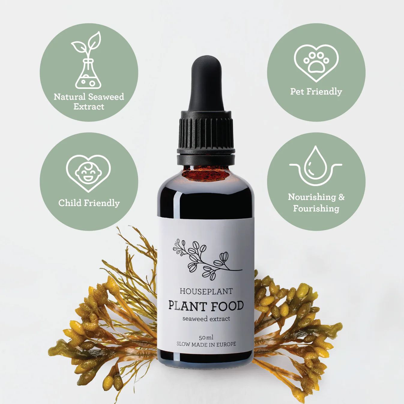PLANT TREAT | Nutrición para plantas