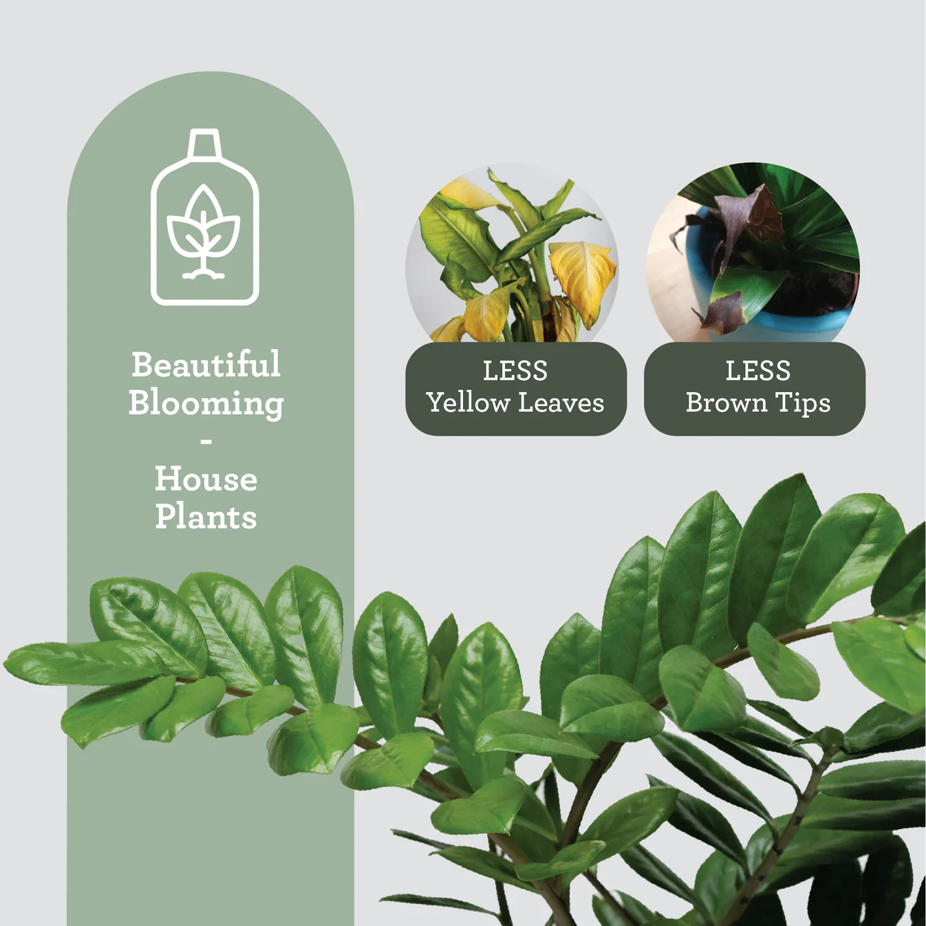HOUSEPLANT PLANT FOOD | Extracto de algas marinas