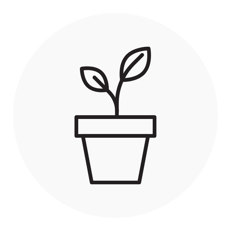 Plantas