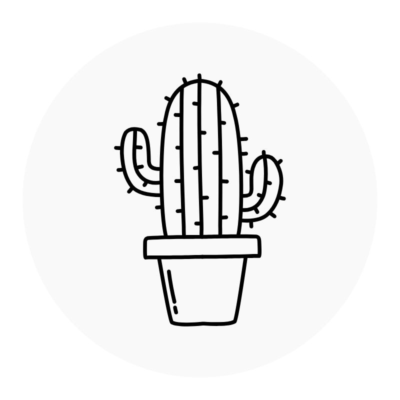 Suculentas & Cactus