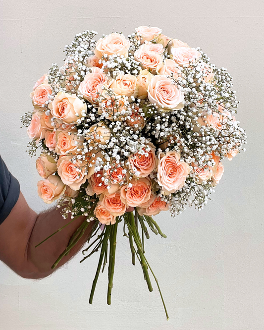 Ramo de Rosas Salmón