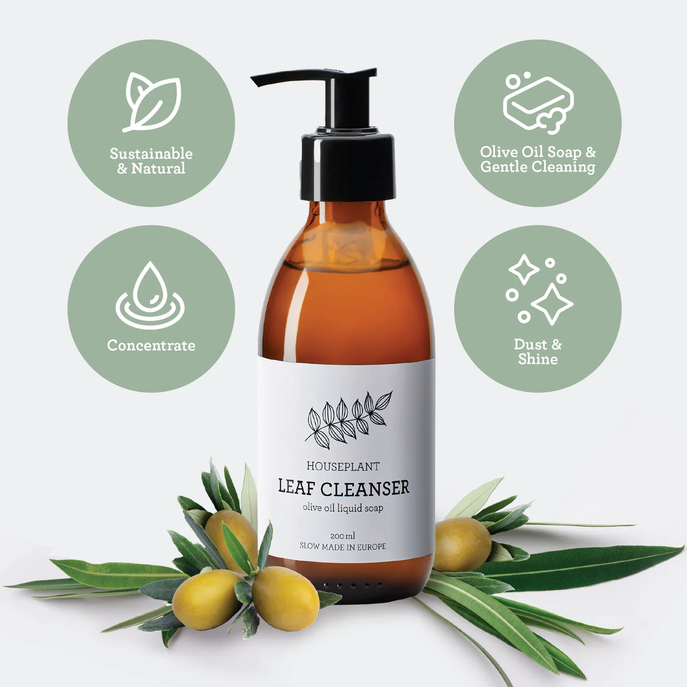 PLANT SPA | Protección y Limpieza de Plantas