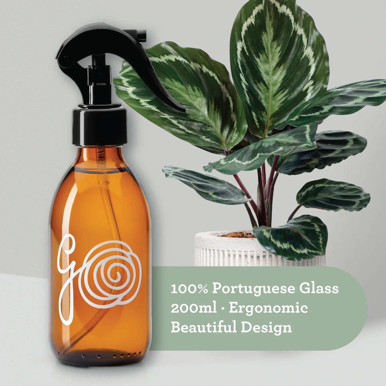 PLANT SPA | Protección y Limpieza de Plantas
