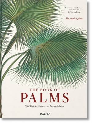 martius_book_of_palms